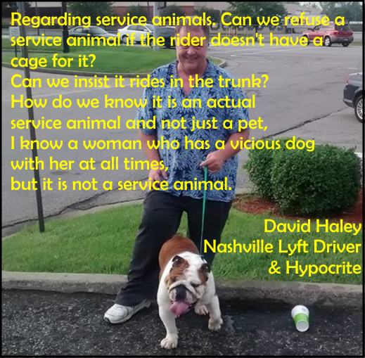 david quote service animals haley