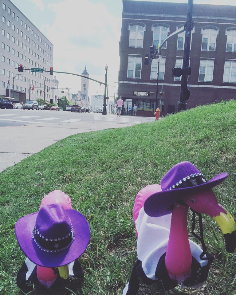 cma fest purple hats