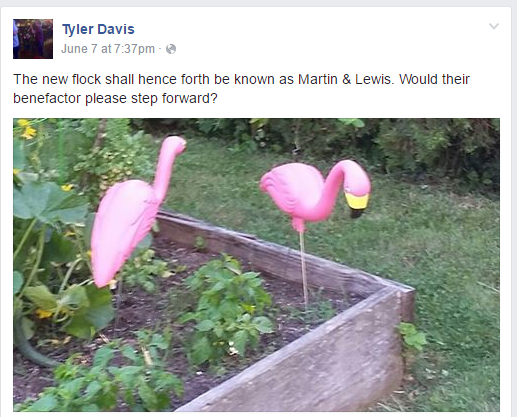 new flock martin lewis appeared