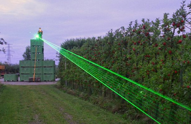 laser green crates
