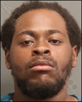 Michael Robertson Jr. (MNPD)