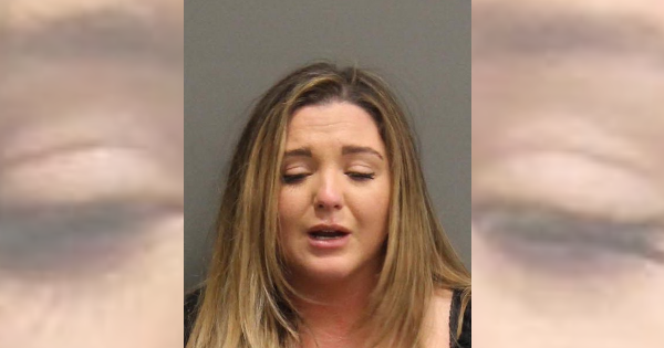 Domestic assault: woman charged at Kid Rock’s Honky Tonk after bruising companion