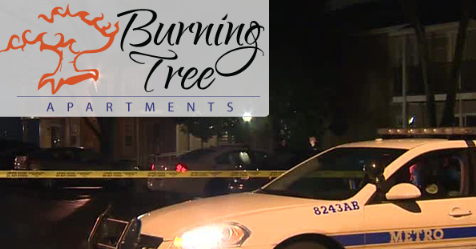 Burning Tree Drug Bust Nets 4 Handguns, 1 Shotgun, Marijuana & Cash