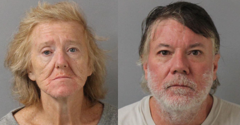 2 arrested in Old Hickory animal cruelty search warrant; 19 cats rescued