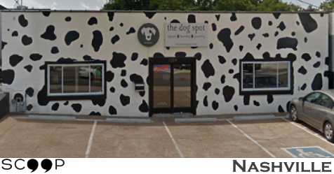 The Dog Spot files a NEW $1.2 Million Lawsuit for Defamation – Against Their Competitors.