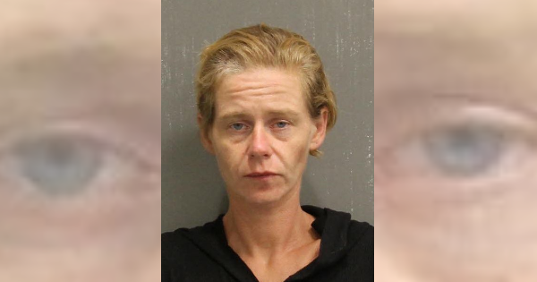 Homeless woman charged with auto burglary and credit card fraud
