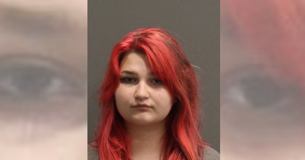 Teen charged after dog overheats, dies in her vehicle
