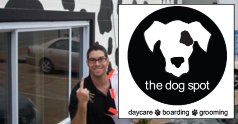 Former The Dog Spot Employee: “dogs were physically hit and kicked”